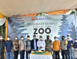 Bukit Asam Buka Kembali Rekreasi Wisata Mini Zoo dan Jogging Track