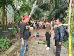 Tak Sampai 24 Jam, Polsek Sanga Desa Berhasil Menangkap Pelaku Penusukan Mamat