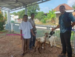 Idul Adha 1443 H PT.LCL dan MPC Kembali Salurkan Qurban