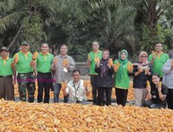 Dukung Ketahanan Pangan Nasional, SKK Migas EP Limau Panen Raya