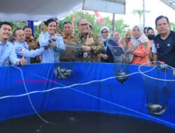 Walikota dan Gubernur BI Panen Ikan Lele Perdana