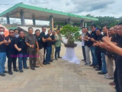 467 Bonsai Siap Dipamerkan di Pamnas Bonsai Prabumulih 2022