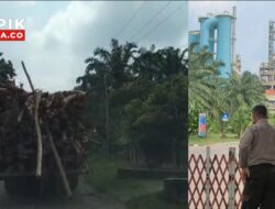 Nyaris Makan Korban, Kayu Milik Subkon PT. Tel Berjatuhan di Jalan