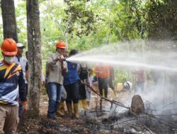 Pj Walikota Elman ST Ikut Berjibaku Padamkan Api
