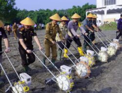Pj Wako Elman ST dan Unsur Forkompinda Tanam Jagung Bersama