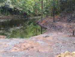 Sungai dan Pepohonan Menghitam Pekat Tercemar Limba Minyak Pendopo Field