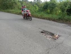 Jalan Provinsi Berlubang, Wabup Pali : Kita Sampaikan Segera