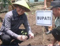Muhammad Farid Pj Bupati Lahat Launching Gerakan Menanam Cabai Serentak