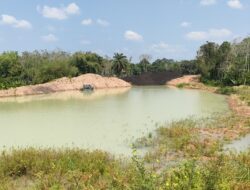 Belum Miliki RKAB, Tambang Batubara di Ujung Kampung Desa Belimbing Sisakan Kolam Berbahaya