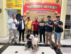 Curi Kambing, Erik Andrian Ditangkap Tim Singo Timur Polsek Timur