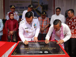 Pj Bupati Muara Enim Henky Putrawan Resmikan PLTS di Desa Tanjung Agung