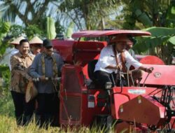 Varietas Padi Organik Muara Enim, Terdaftar di Kementerian Pertanian