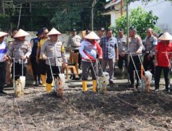 Dukung Ketahanan Pangan Nasional, Polres Prabumulih Tanam Jagung