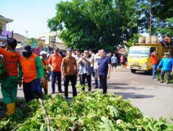 Pj Bupati Muba Tinjau Lokasi Pohon Tumbang