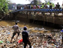 Pengaruh Kegiatan Manusia Terhadap Rantai Makanan Di Ekosistem