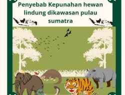 Penyebab Kepunahan Hewan Lindung di Kawasan Pulau Sumatera