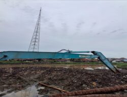 Kerusakan Habitat Ancaman Serius Bagi Keberlangsungan Hidup Satwa