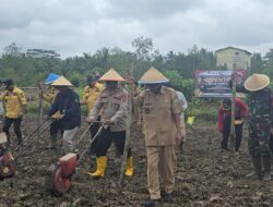 Dukung Ketahanan Pangan Nasional, Polres Muba Tanam Jagung