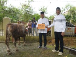 Idul Adha 1446 H, Polres Prabumulih Potong 11 Hewan Kurban