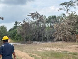 Pipa Pertamina Bocor Berhasil Ditutup, Tanam Tumbuh Jadi Layu