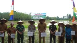 Wakil Wali Kota Prabumulih menghadiri gerakan tanam padi menghadapi El Nino 2026.
