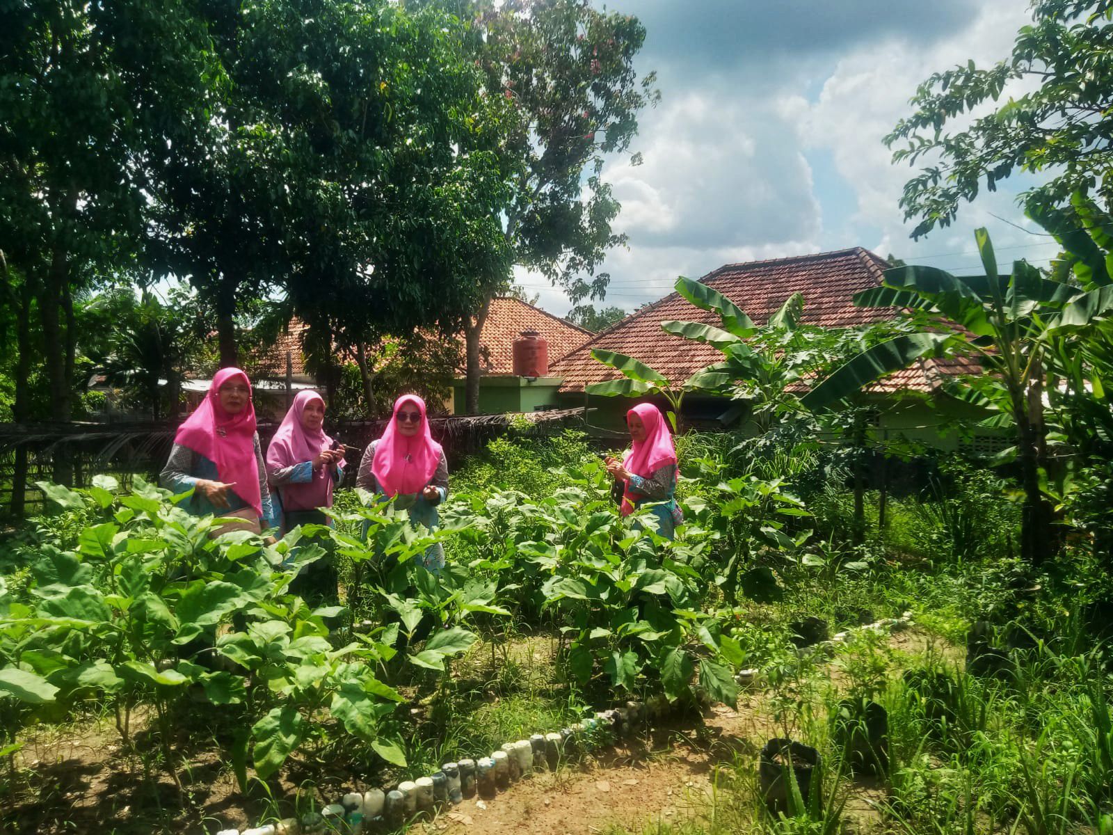 Kelompok Wanita Tani Bougenville di Prabumulih sedang mengelola lahan pertanian organik yang sebelumnya terbengkalai menjadi kebun sayur dan tanaman obat keluarga dengan dukungan Pertamina EP Limau Field.