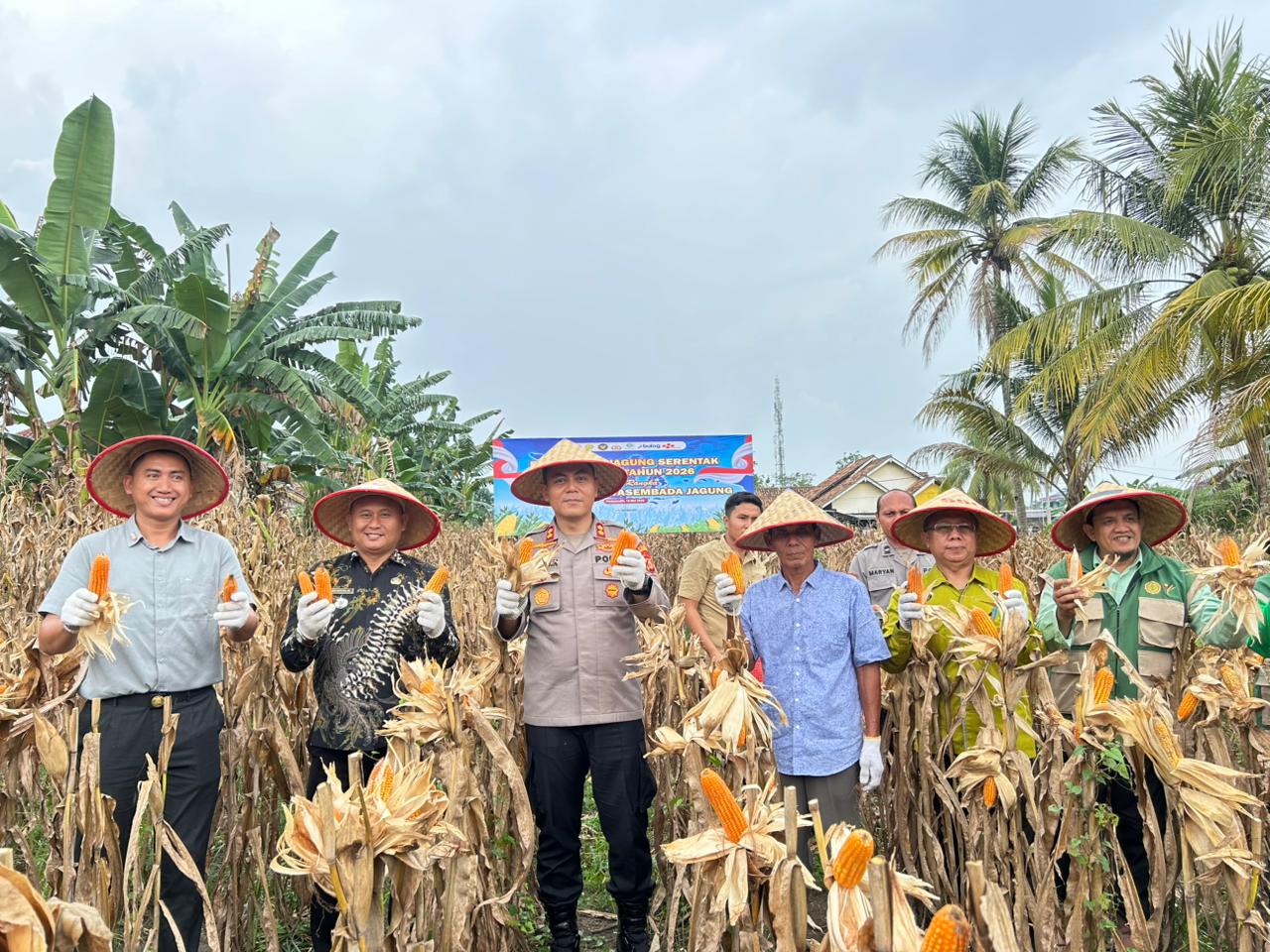 Kapolres Prabumulih bersama Unsur Pemerintah melakukan panen jagung pada kegiatan Panen Raya Serentak Kuartal II Tahun 2026 di Gunung Ibul Barat.