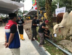 Rayakan Iduladha 1447 Hijriah, Pertamina EP Zona 4 Tebar Semangat Berbagi di Wilayah Operasi