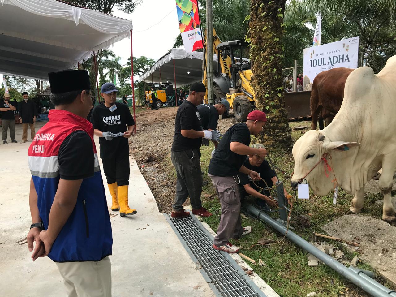 Penyaluran hewan kurban Pertamina EP Zona 4 pada Iduladha 1447 H