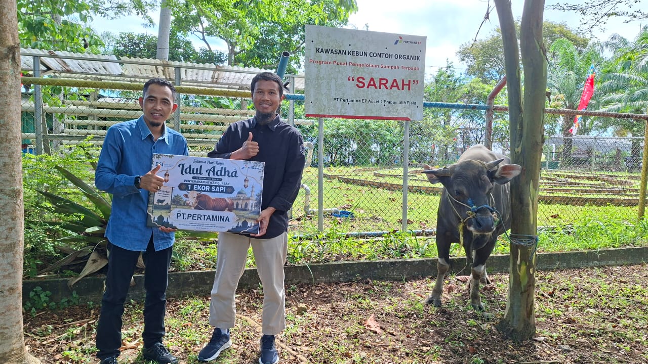 Pimpinan BSI Prabumulih menyerahkan hewan kurban kepada instansi di Kota Prabumulih