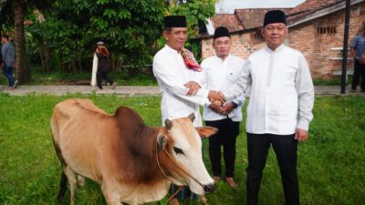 Wakili Wali Kota, Kadiskominfo Prabumulih Serahkan Hewan Kurban Iduladha 1447 H