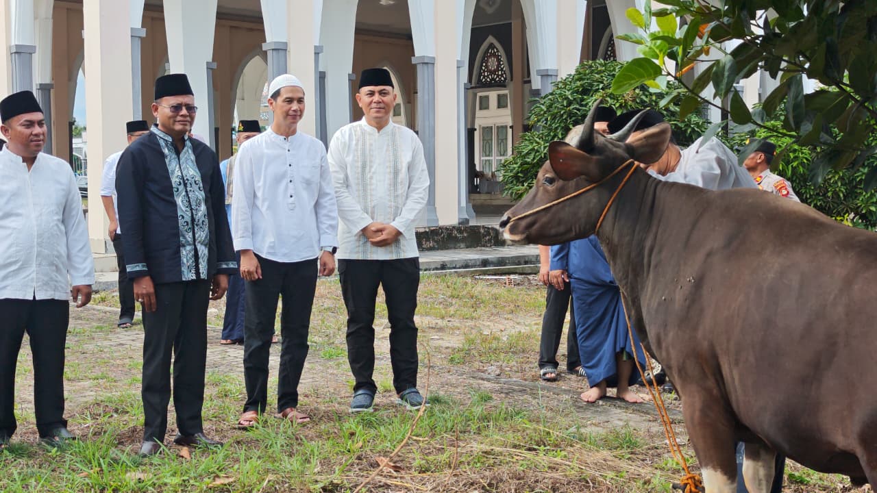 Arlan walikota parabumulih serahkan sapi kurban prabowo subianto