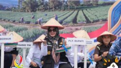 Plt Bupati Sumarni dan Kapolda Sumsel menanam bawang putih di SDT