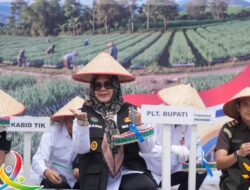 Plt Bupati Sumarni dan Kapolda Sumsel Tanam Bawang Putih Serentak di Muara Enim