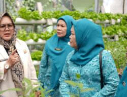 Plt Bupati, Sumarni dan TP PKK Sumsel Tinjau Layanan Masyarakat di Tegal Rejo