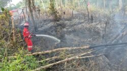 Tim pemadam PHR Zona 4 menangani karhutla di Sumatera Selatan