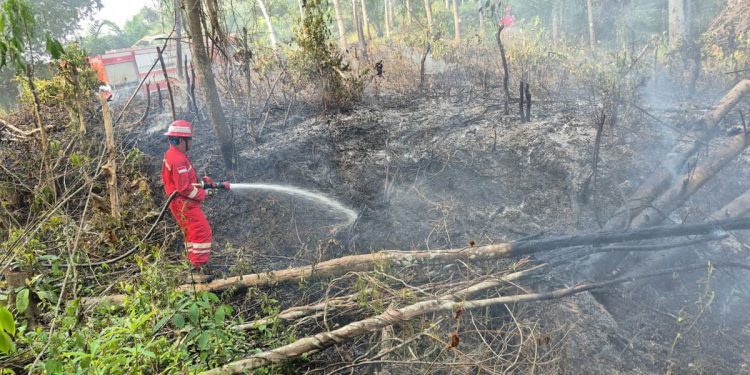 Tim pemadam PHR Zona 4 menangani karhutla di Sumatera Selatan